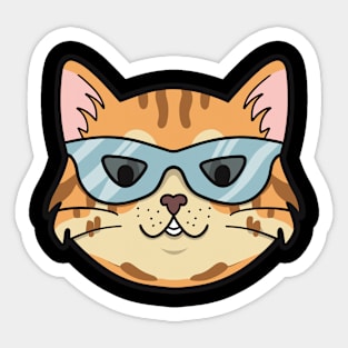 Cool Cat Sticker